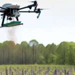 dron capaz de sembrar 1.500 árboles